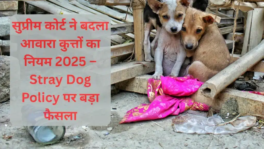 सुप्रीम कोर्ट ने बदला आवारा कुत्तों का फैसला